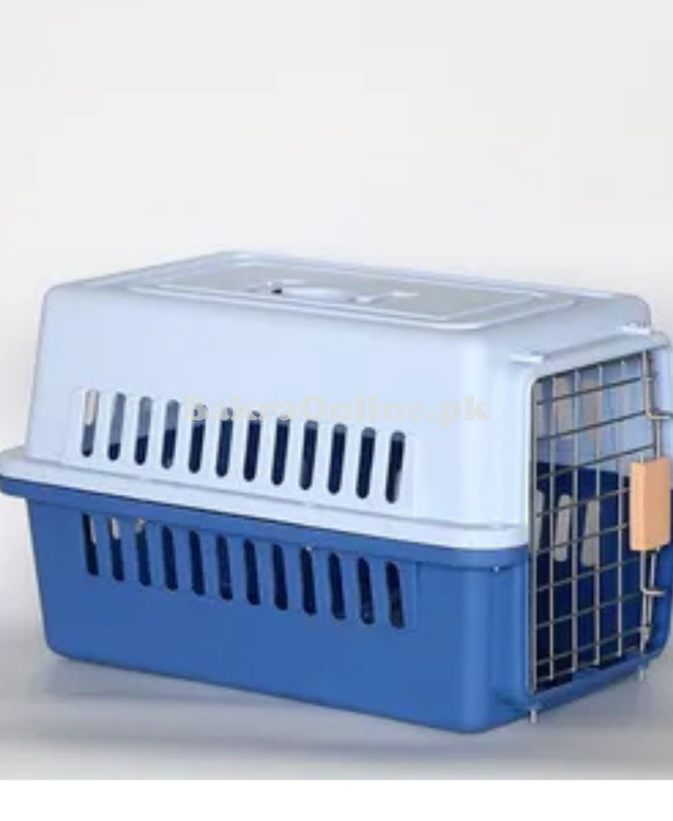 Siberian Kitten with Cage for Sale – Healthy & Playful