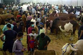 I-12 Moveshi Mandi Islamabad
