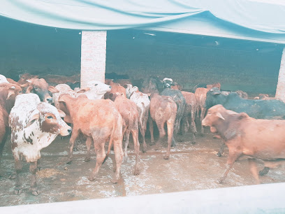 Ferozwala Cow Mandi